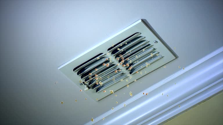 Best Best Air Duct Cleaning Company  in Sun City West, AZ
