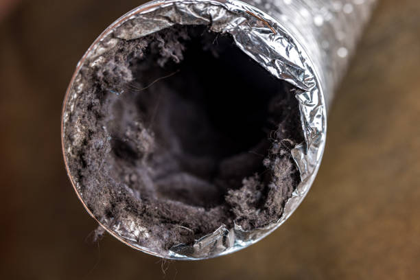 Best Emergency Air Duct Cleaning  in Sun City West, AZ